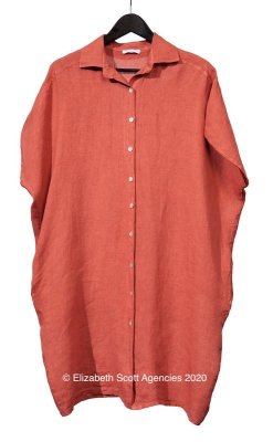 Button Front Dress